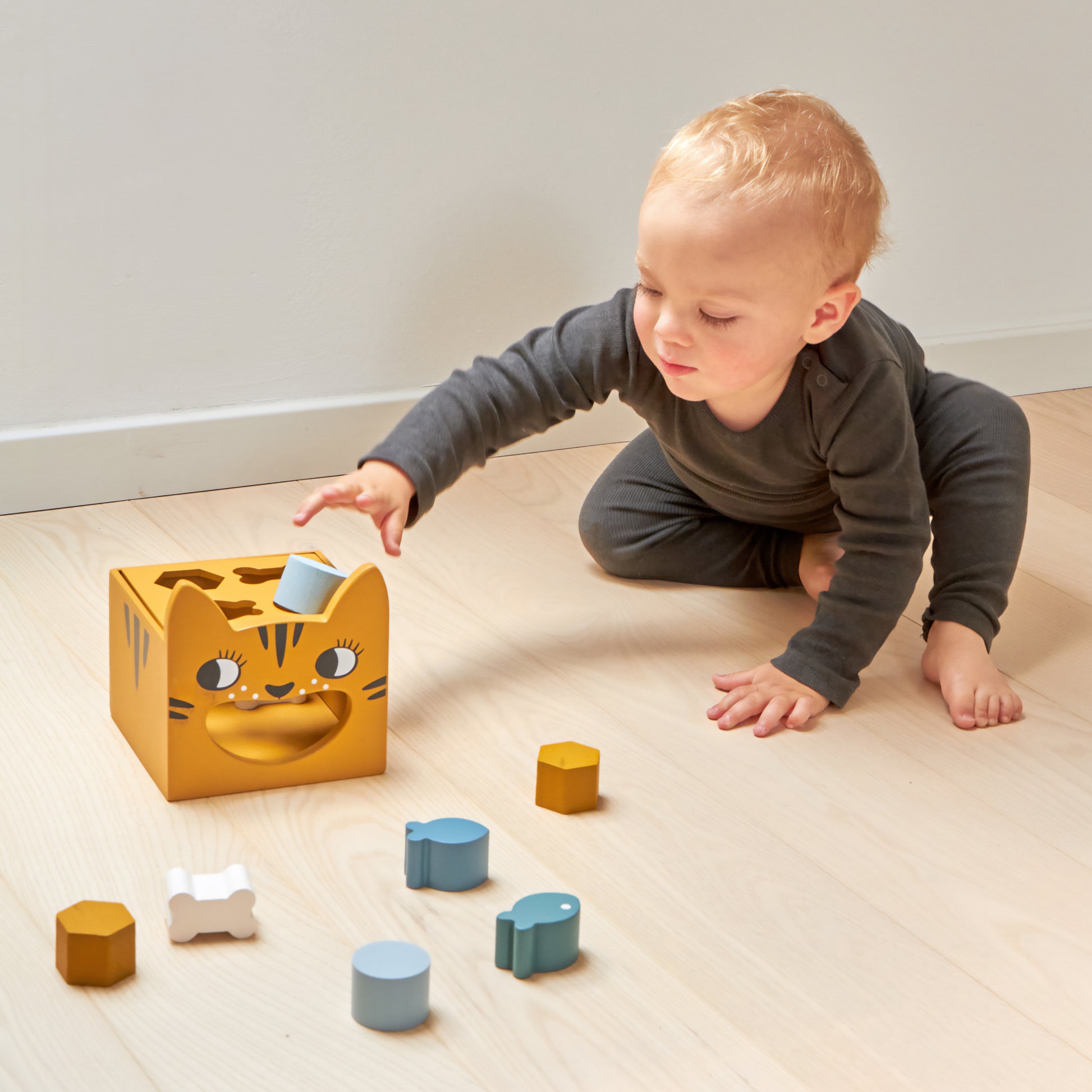 Tiger sorting box – Roommate - Playful Danish Design